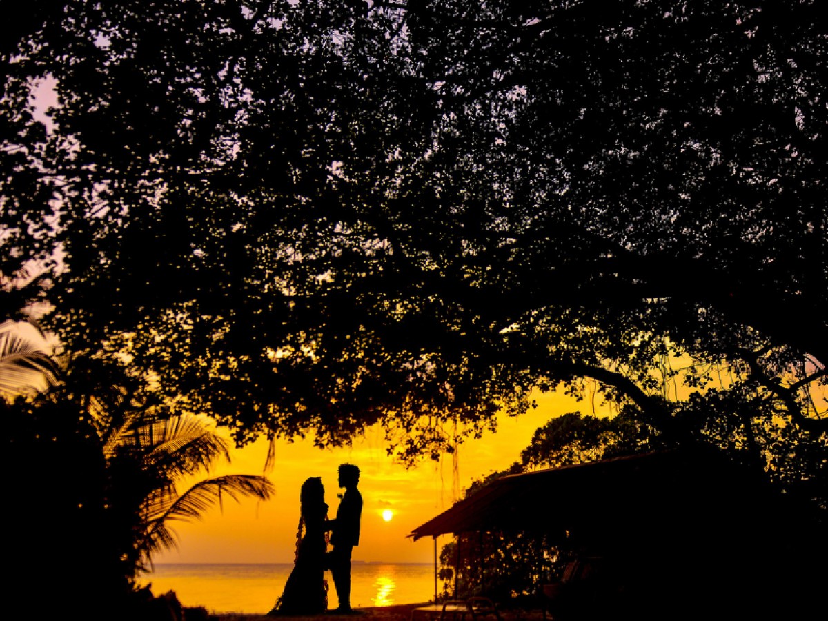 Imatge il·lustrativa