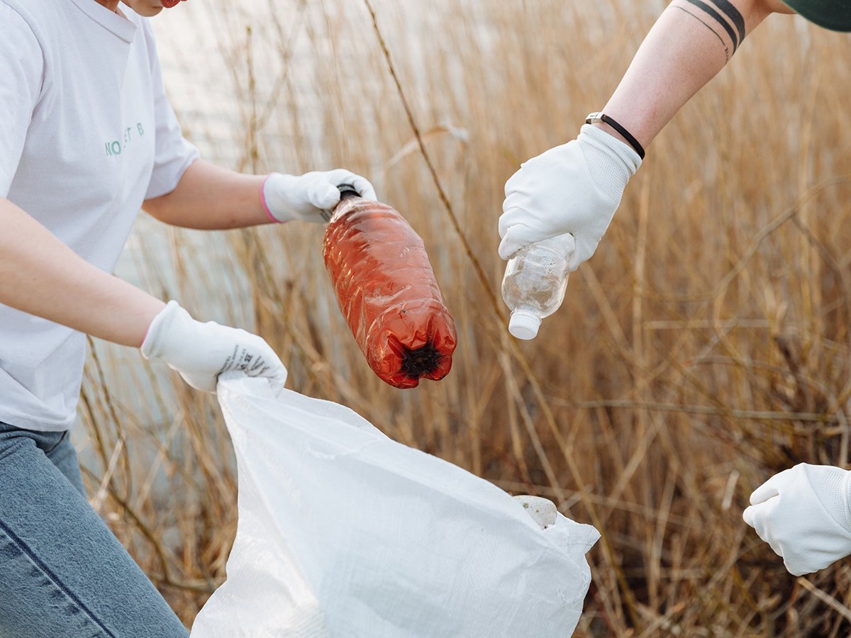 Imatge il·lustrativa