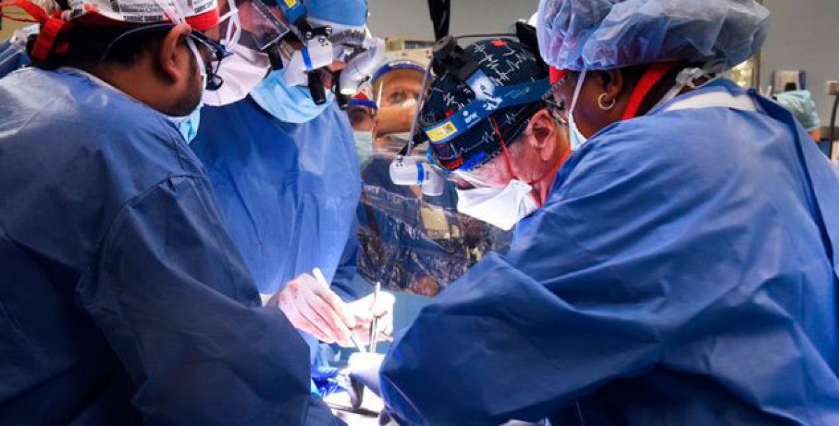 Imatge il·lustrativa