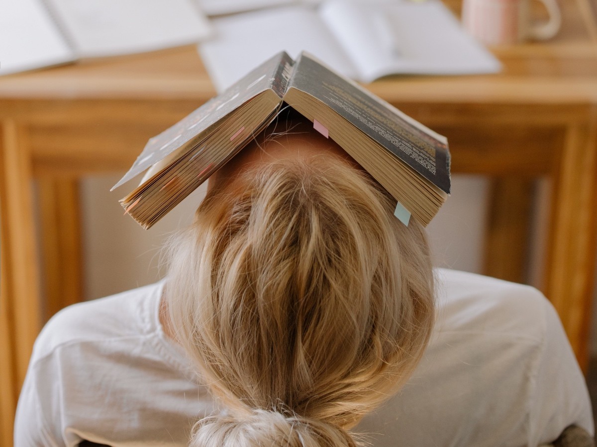 Imatge il·lustrativa