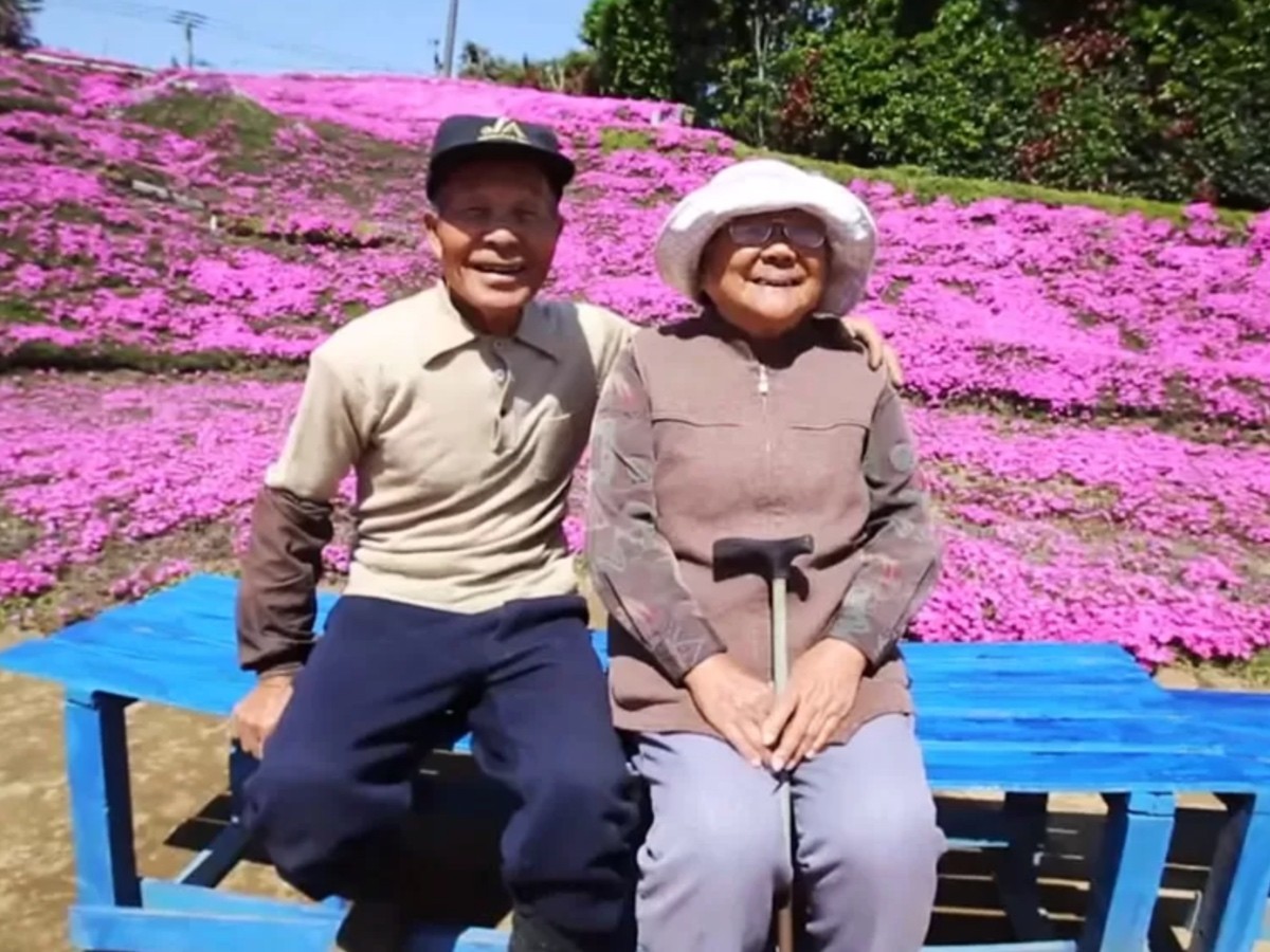 Imatge il·lustrativa