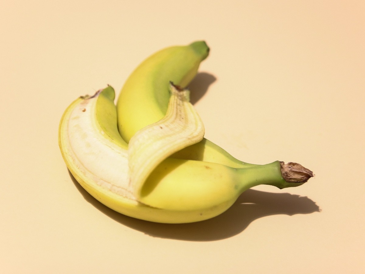 Imatge il·lustrativa