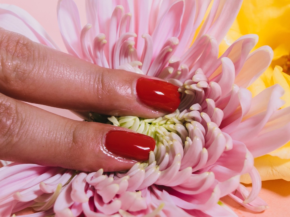 Imatge il·lustrativa