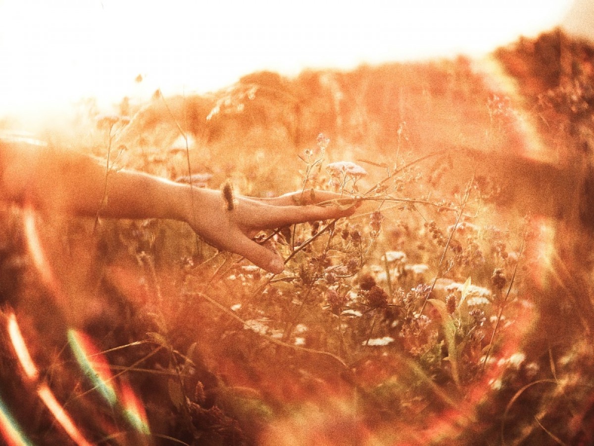 Imatge il·lustrativa