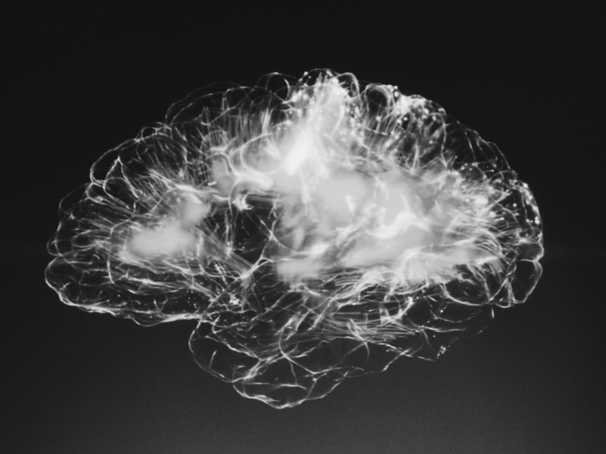 Imatge il·lustrativa