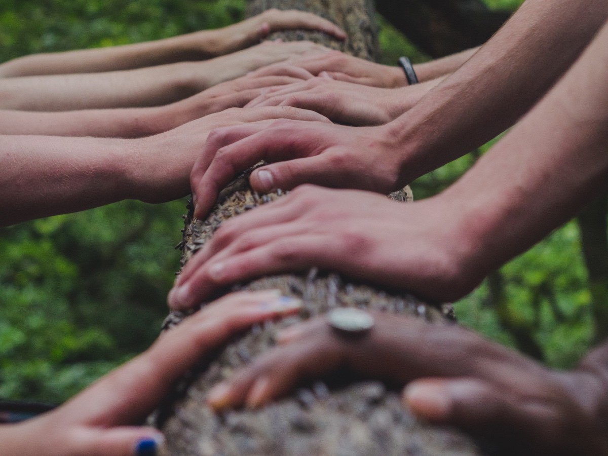 Imatge il·lustrativa