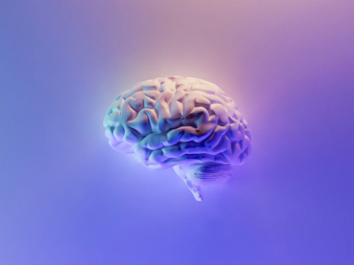 Imatge il·lustrativa