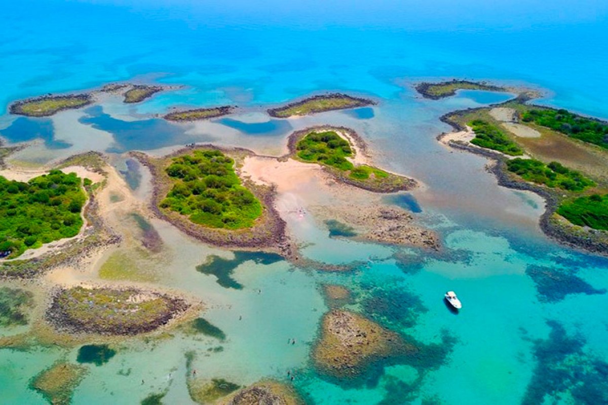 Imatge il·lustrativa