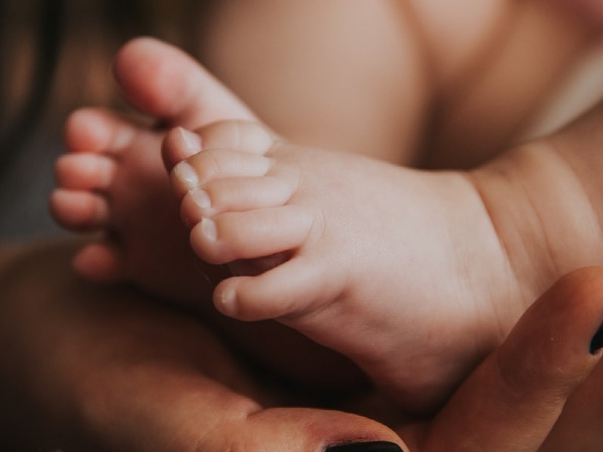 Imatge il·lustrativa