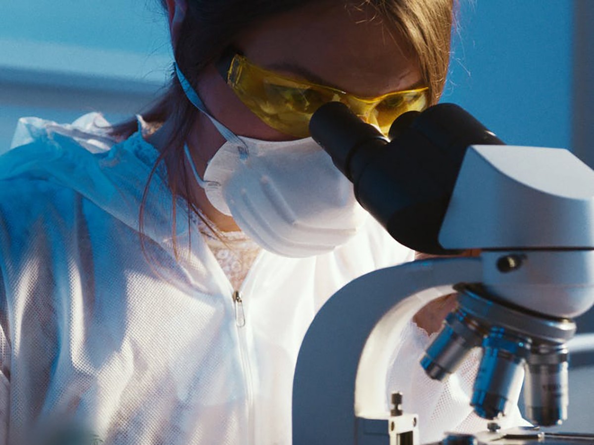 Imatge il·lustrativa