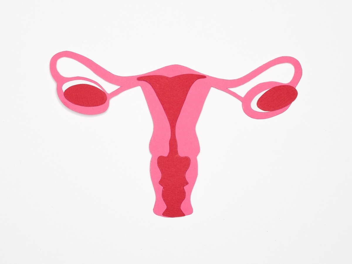 Imatge il·lustrativa