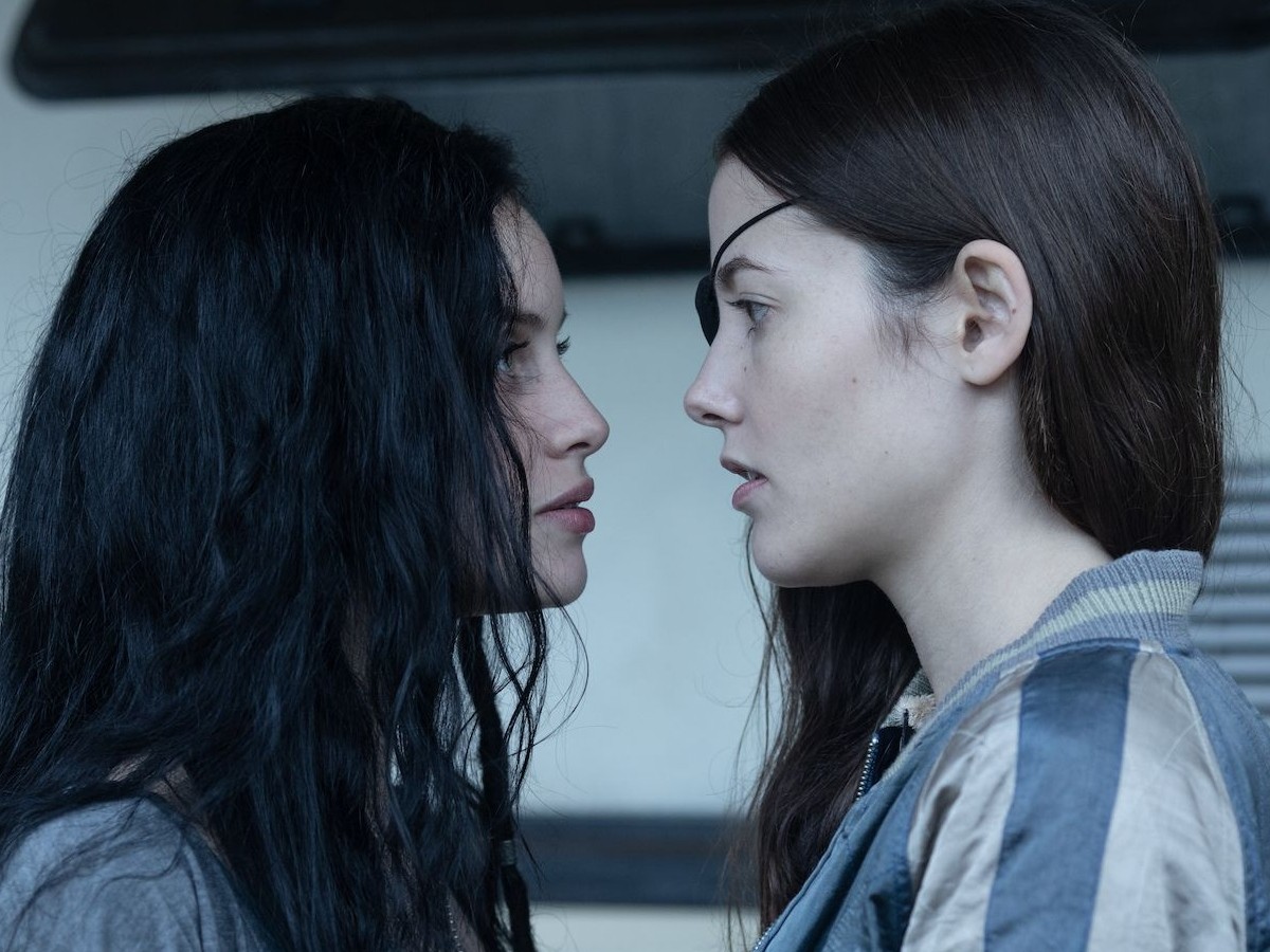 Imatge il·lustrativa