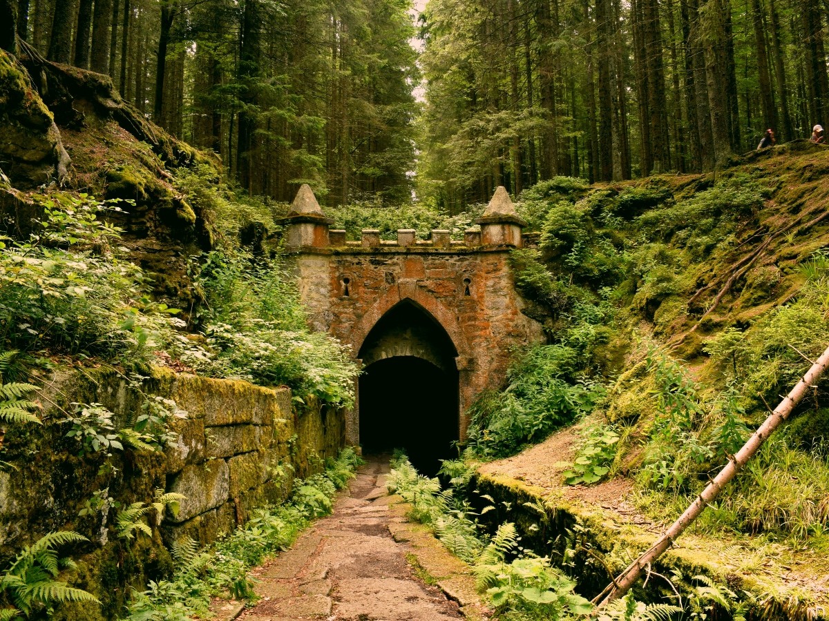 Imatge il·lustrativa