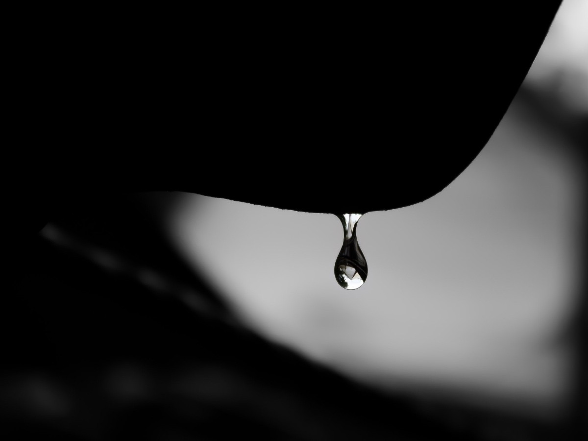 Imatge il·lustrativa