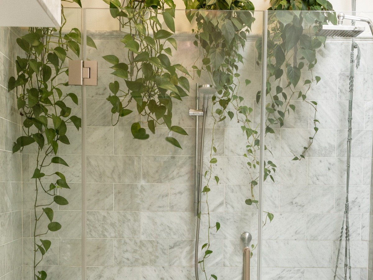 Imatge il·lustrativa