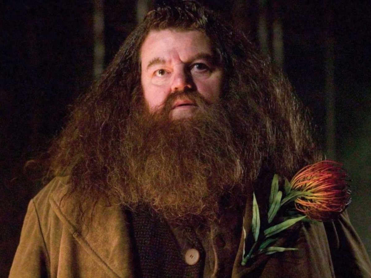 Imatge il·lustrativa