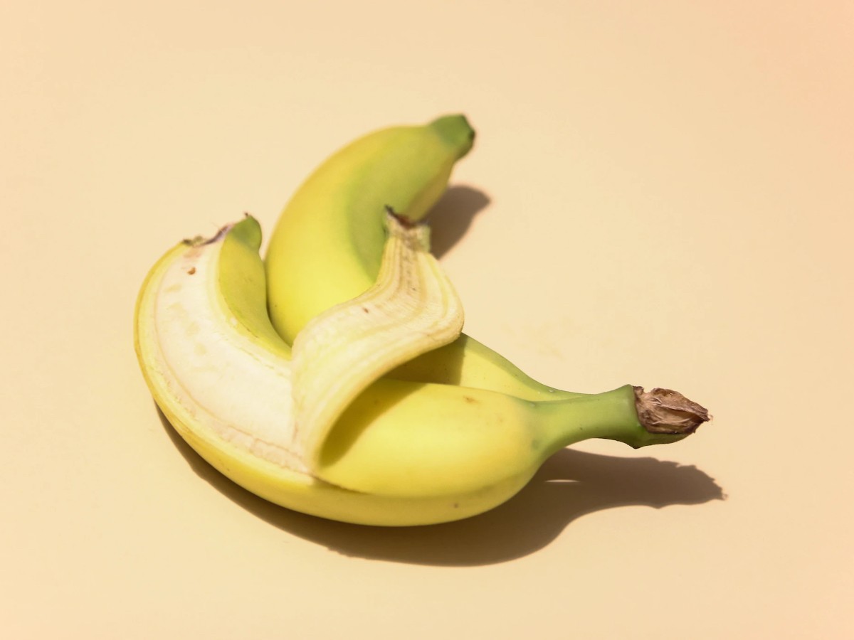 Imatge il·lustrativa