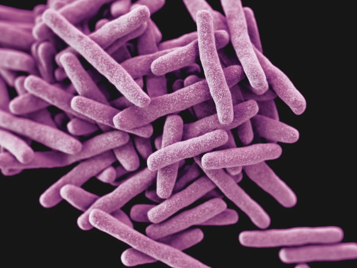 Imatge il·lustrativa