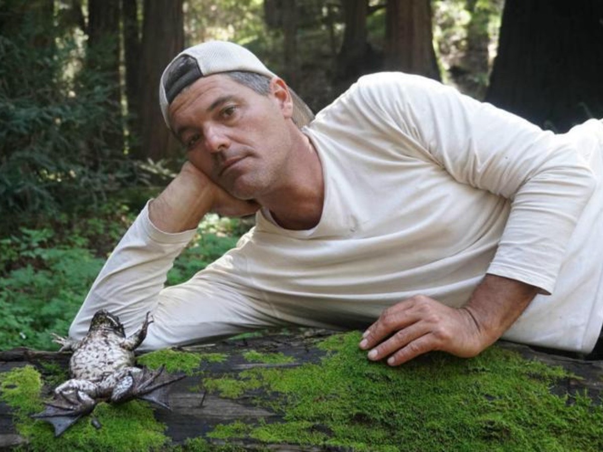 Imatge il·lustrativa