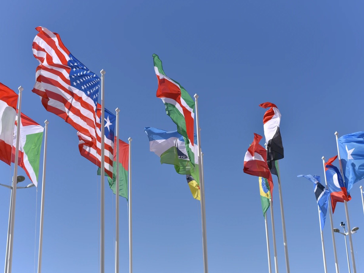 Imatge il·lustrativa