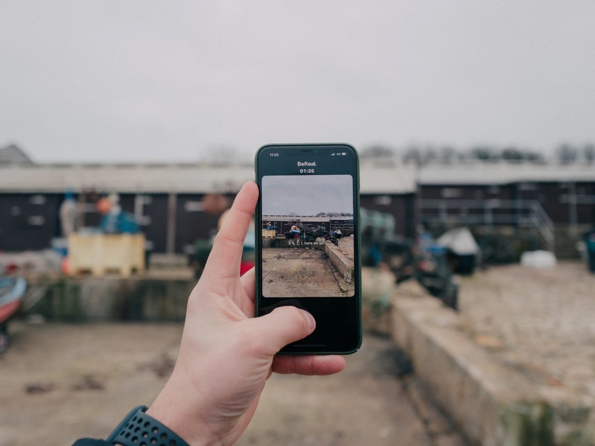 Imatge il·lustrativa