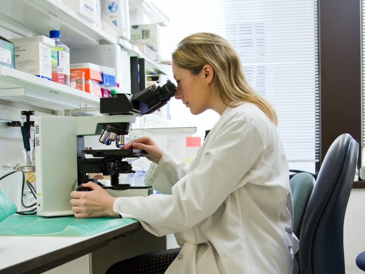 Imatge il·lustrativa