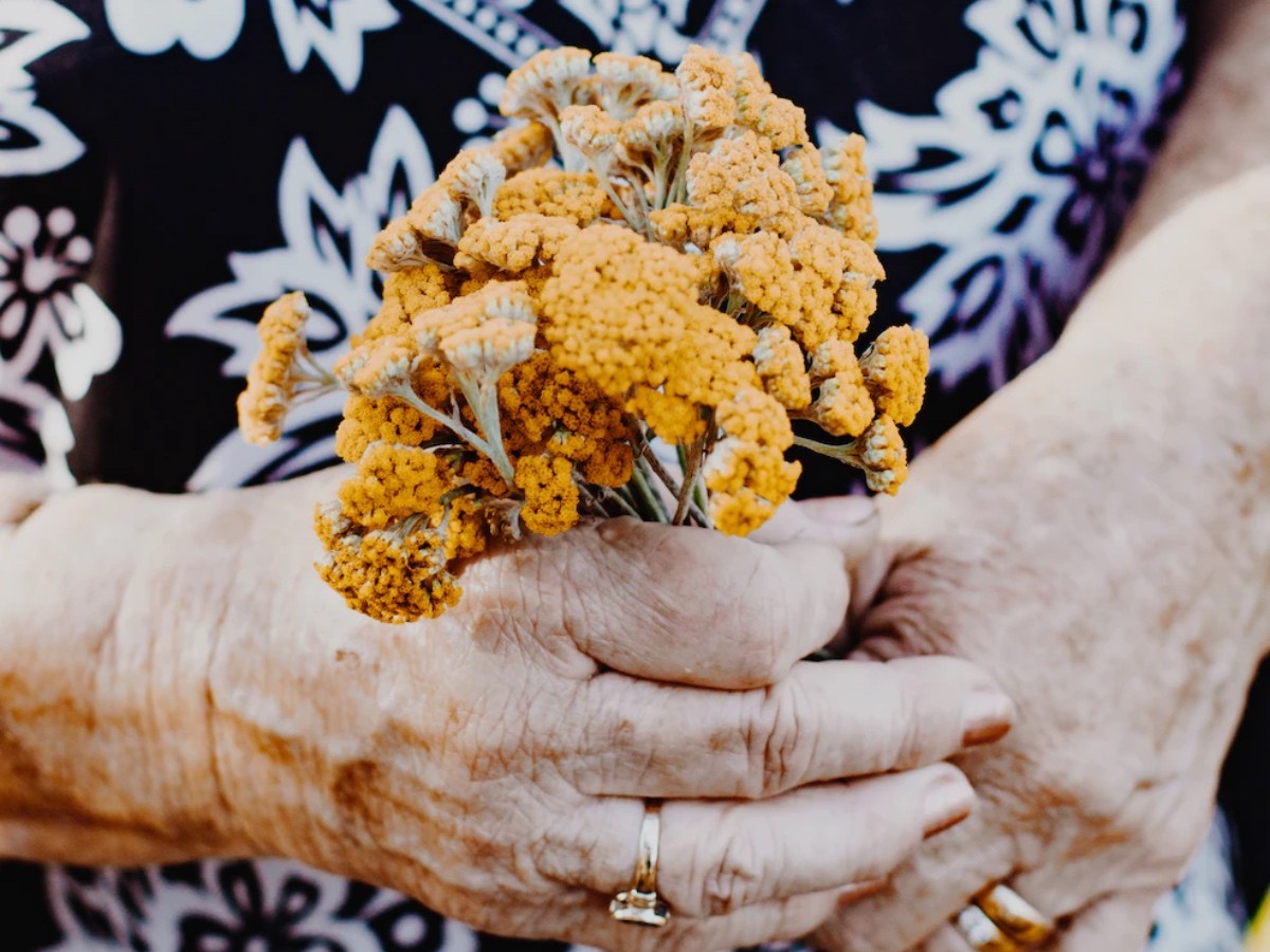 Imatge il·lustrativa