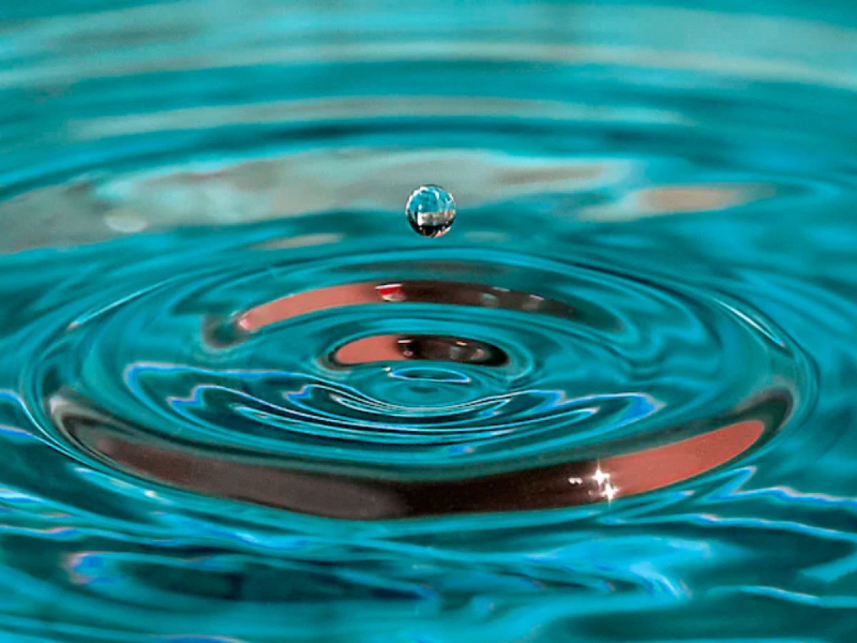 Imatge il·lustrativa