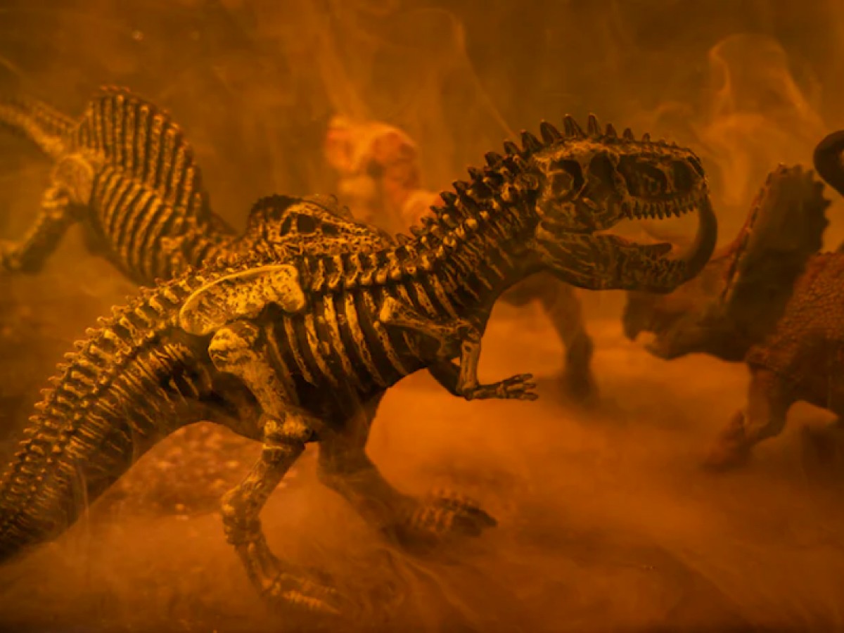 Imatge il·lustrativa