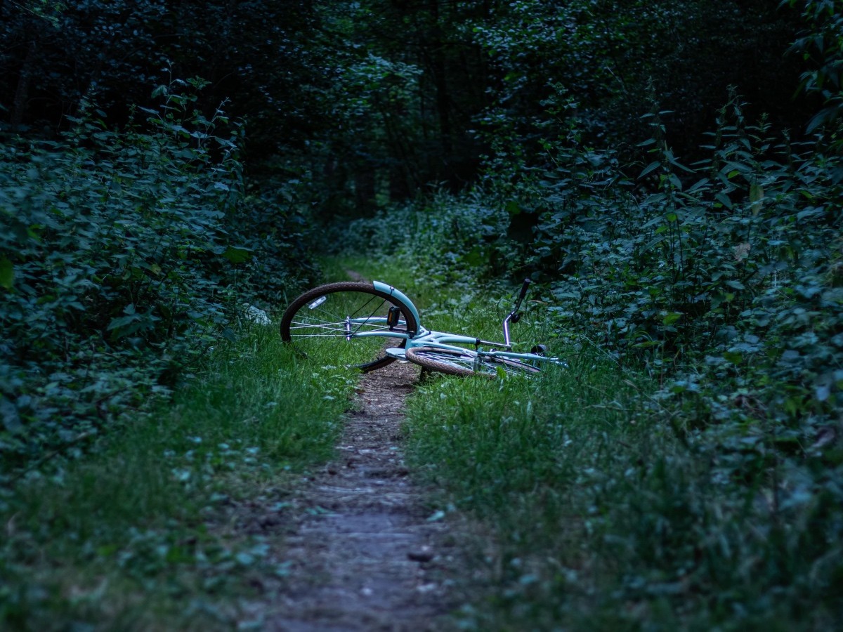 Imatge il·lustrativa