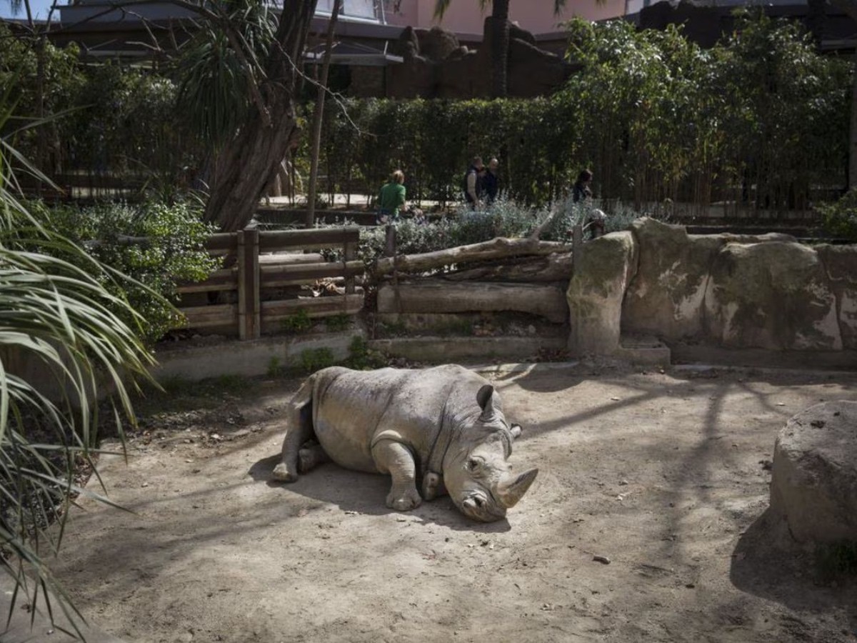 Imatge il·lustrativa