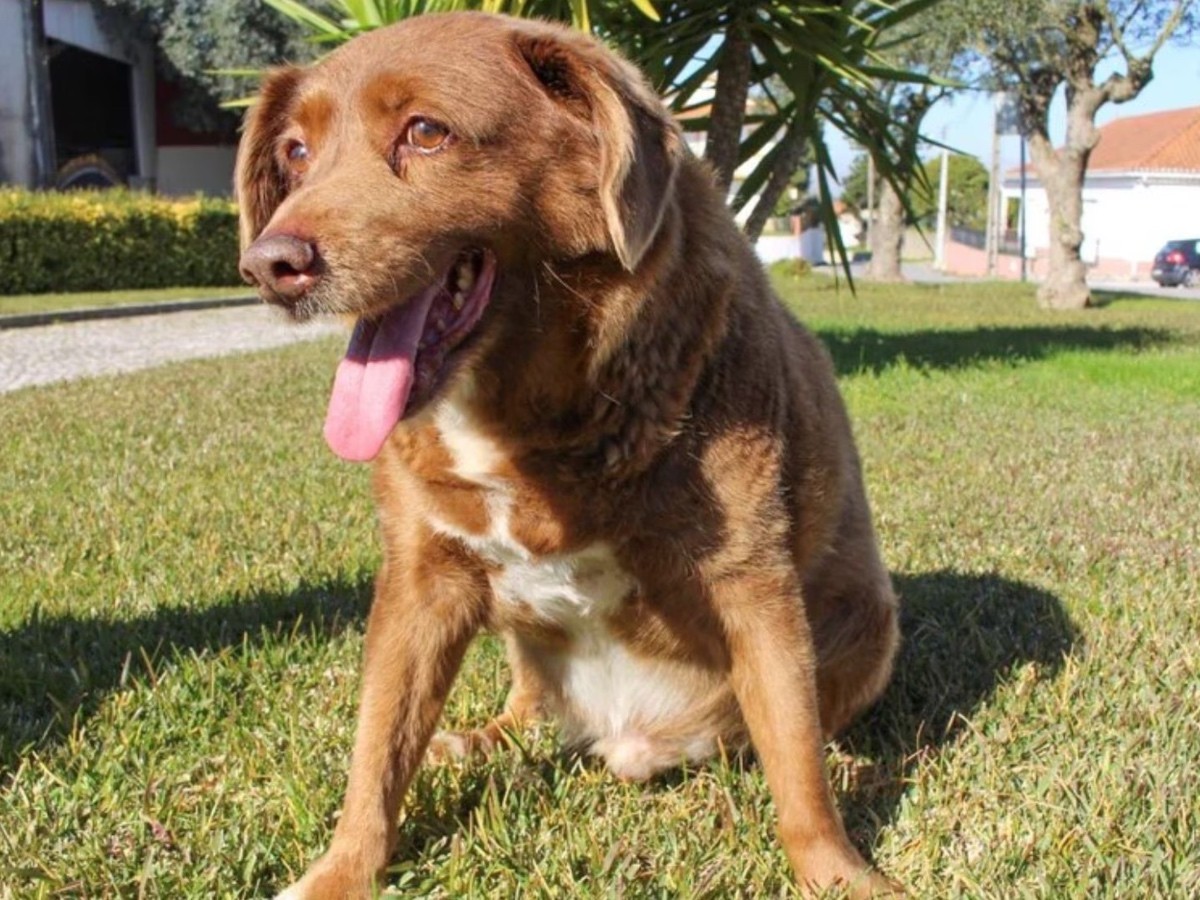 Imatge il·lustrativa