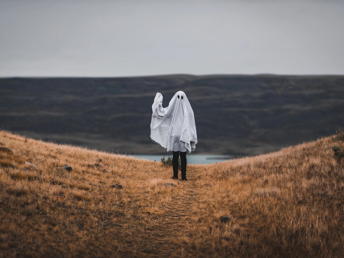 Imatge il·lustrativa