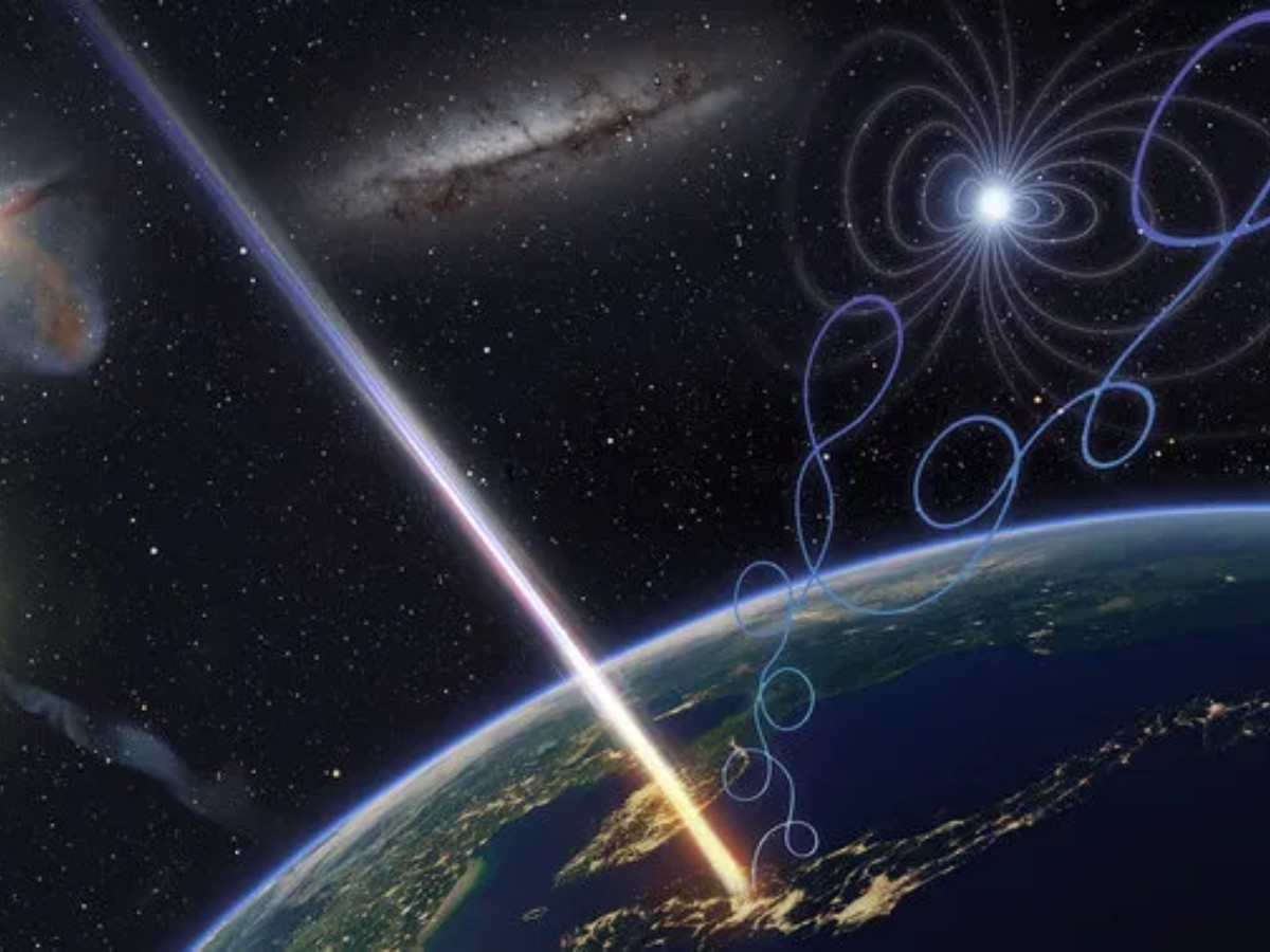 Imatge il·lustrativa