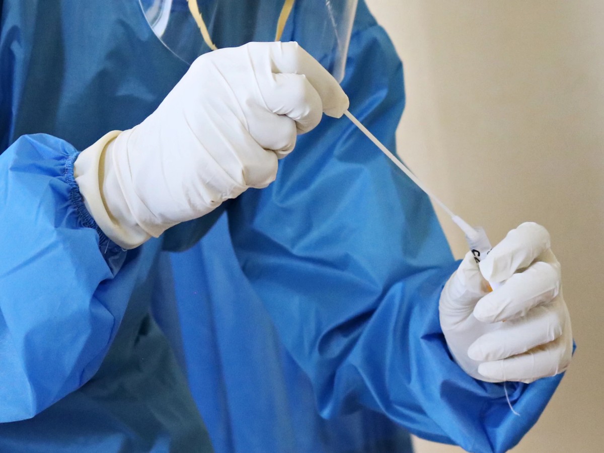 Imatge il·lustrativa