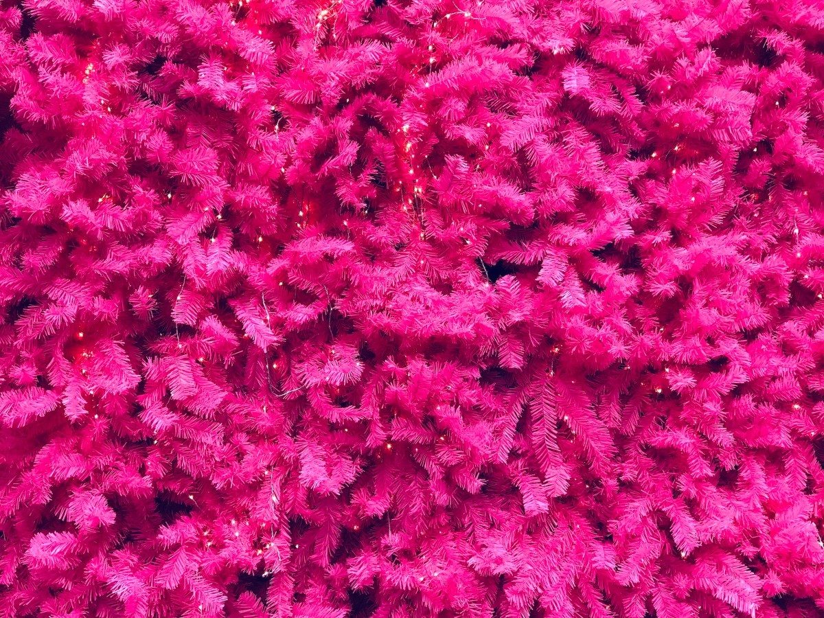 Imatge il·lustrativa