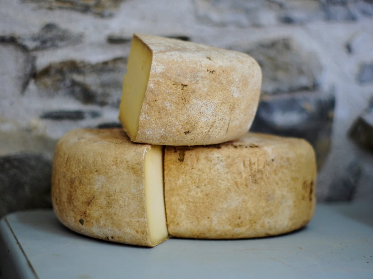 Imatge il·lustrativa