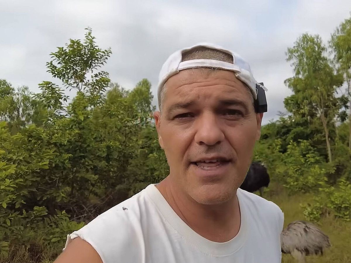 Imatge il·lustrativa