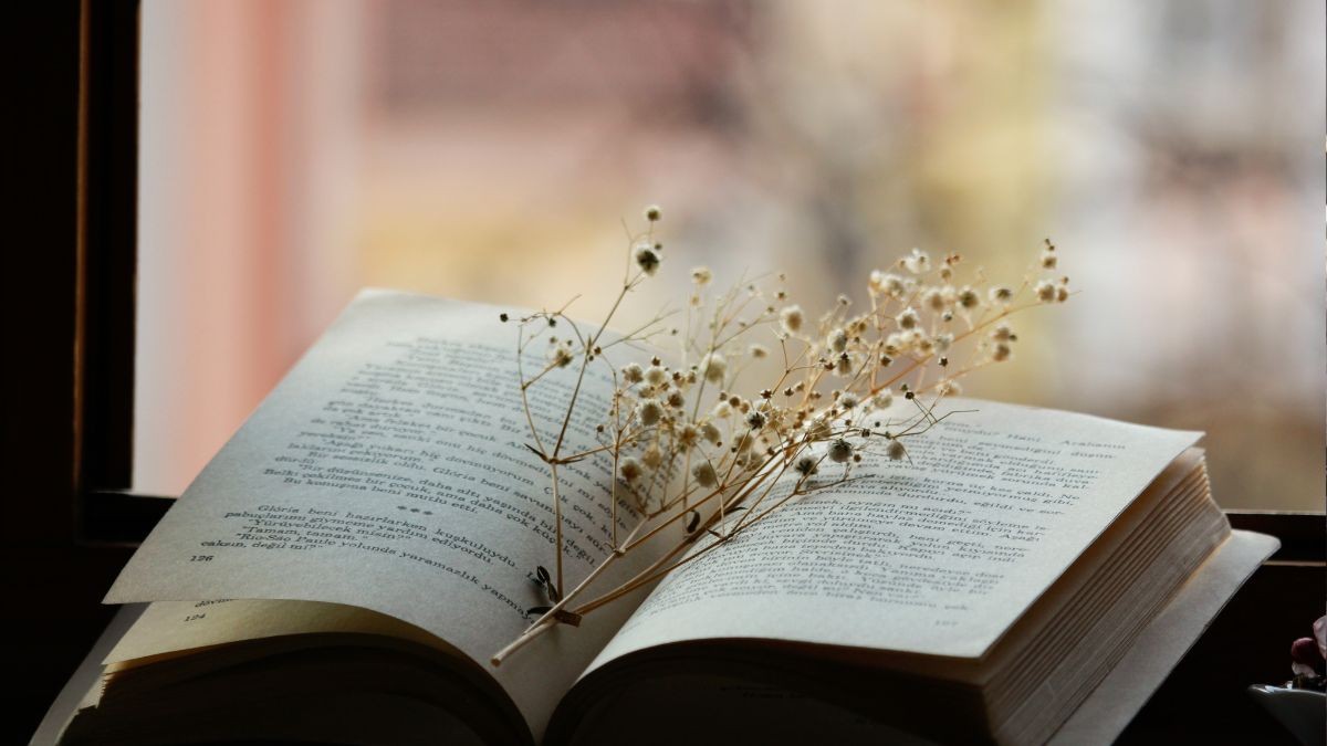 Imatge il·lustrativa