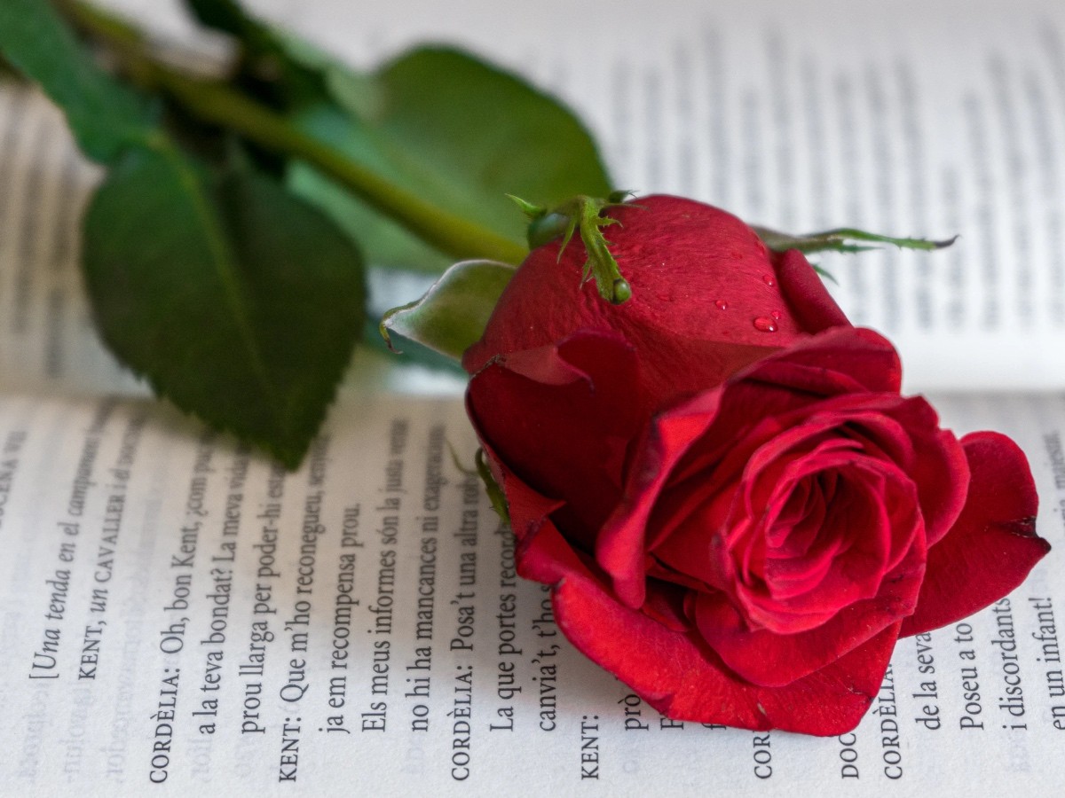 Imatge il·lustrativa