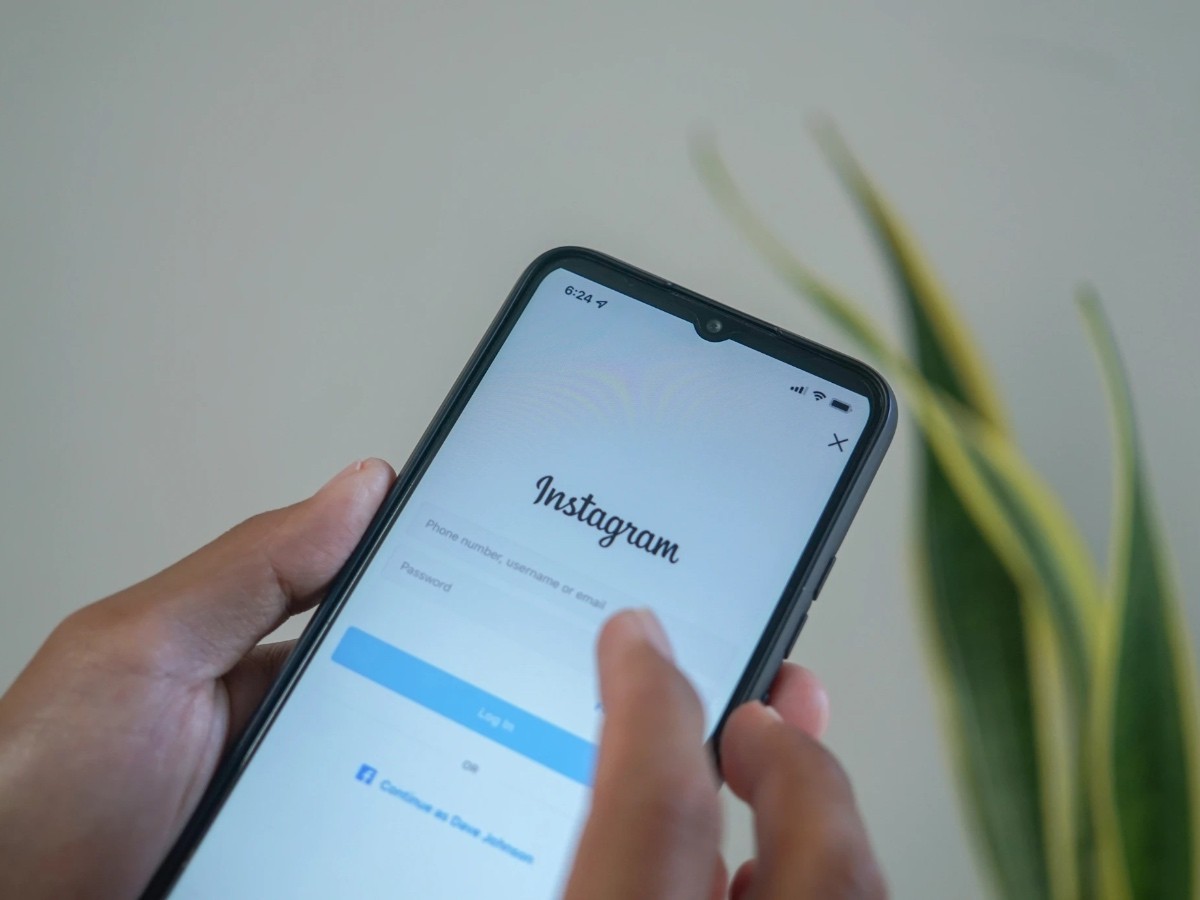 Imatge il·lustrativa