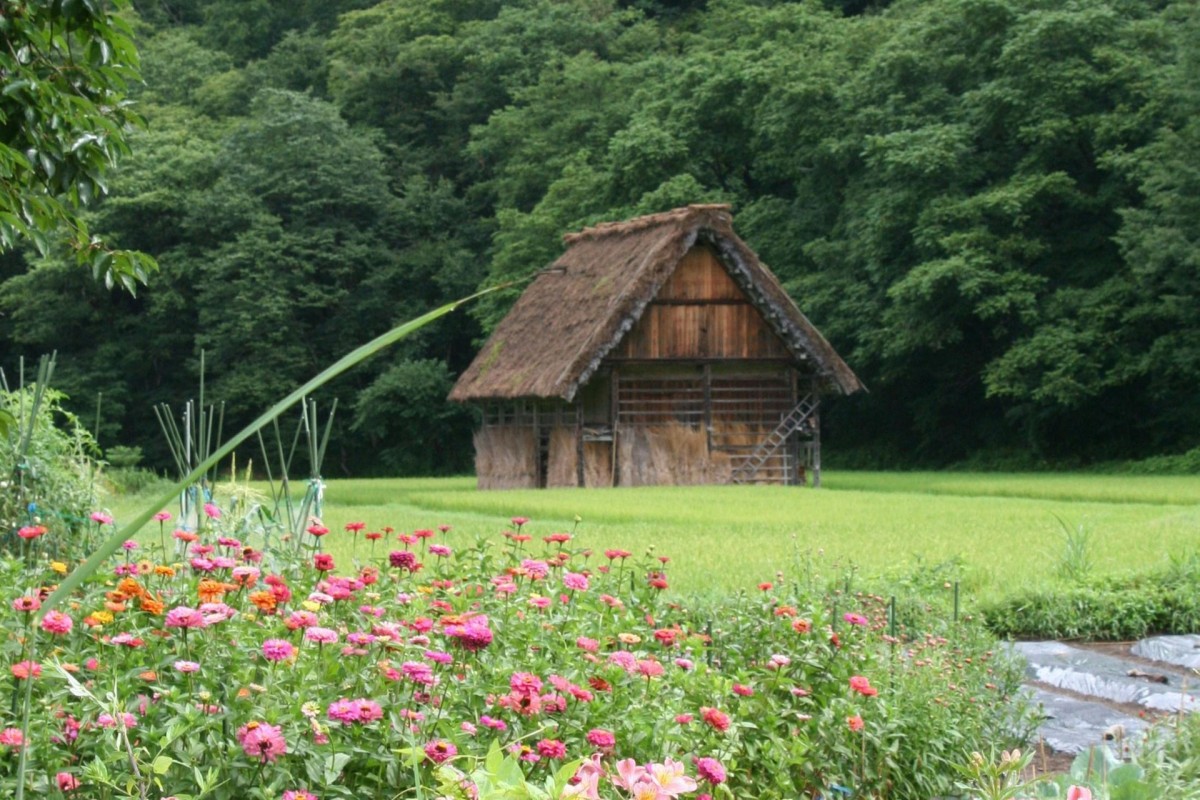 Imatge il·lustrativa