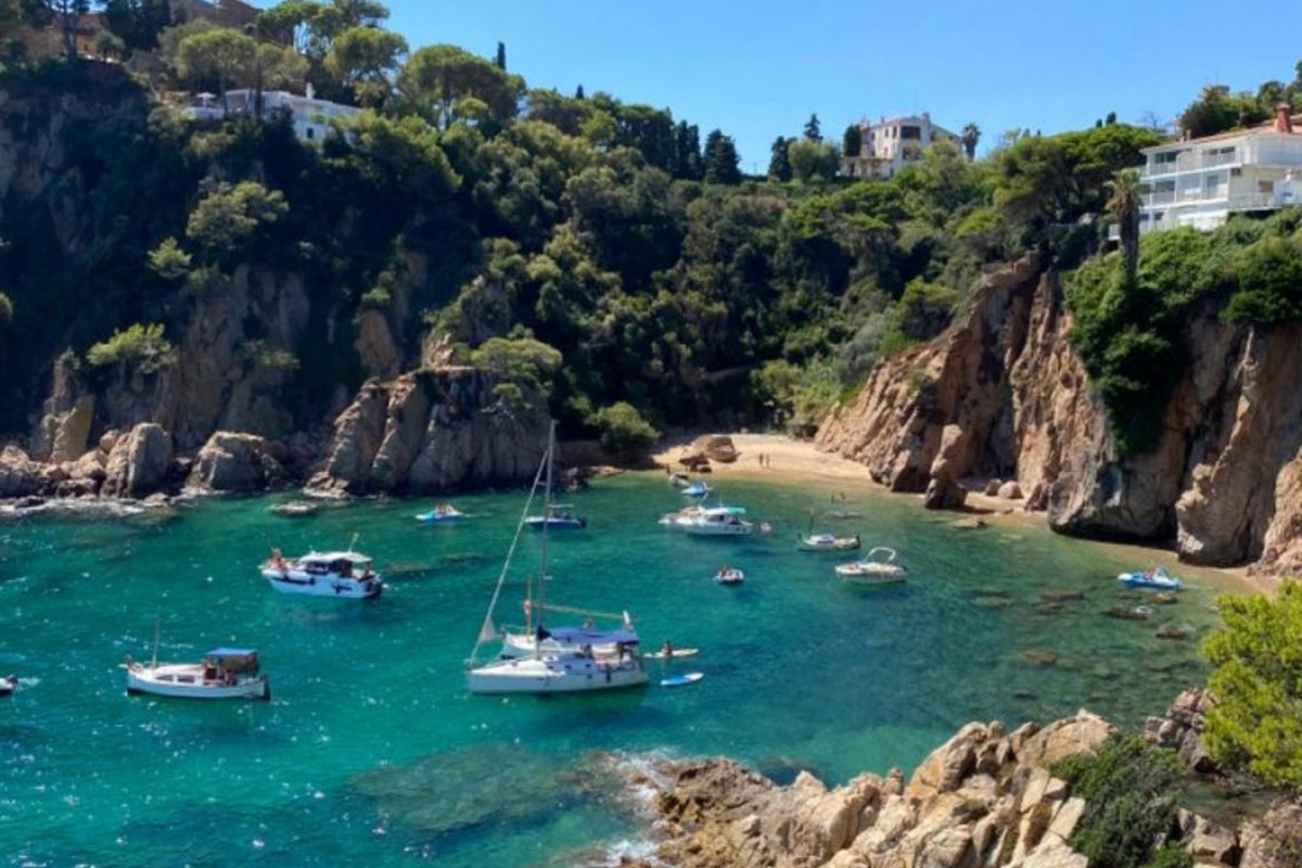 Imatge il·lustrativa