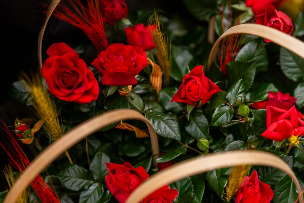 Imatge il·lustrativa