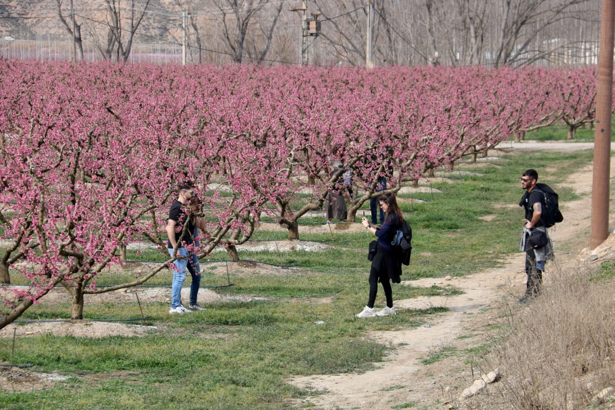 Imatge il·lustrativa