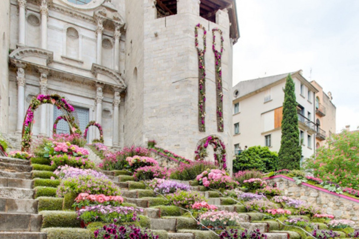 Imatge il·lustrativa