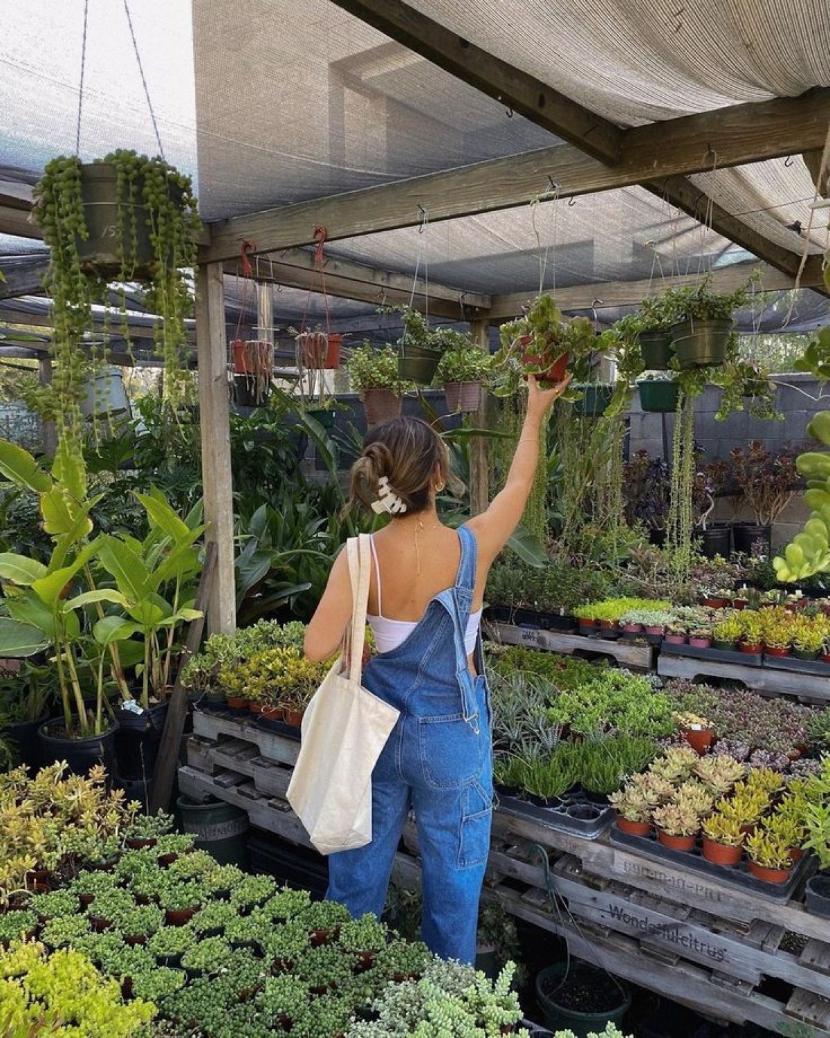 Imatge il·lustrativa