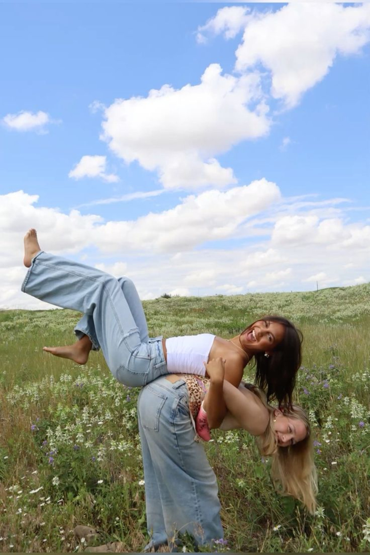 Imatge il·lustrativa