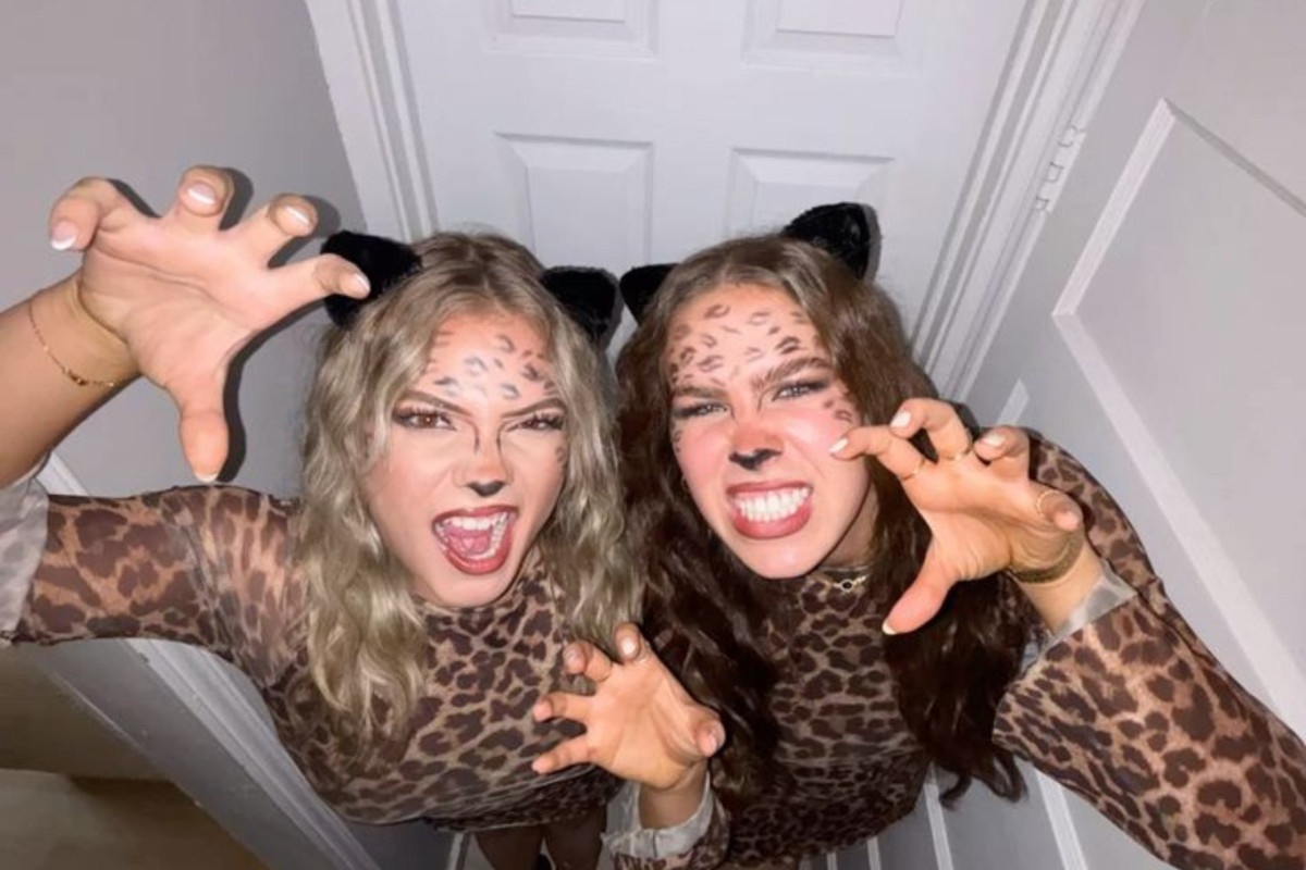 Imatge il·lustrativa