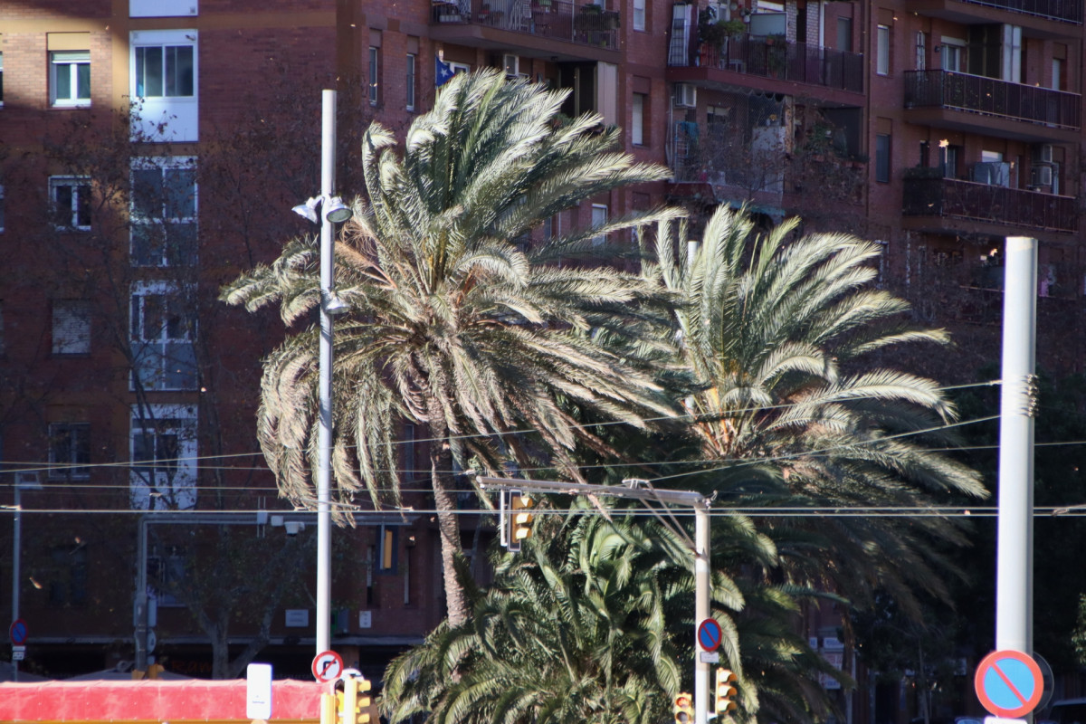 Imatge il·lustrativa